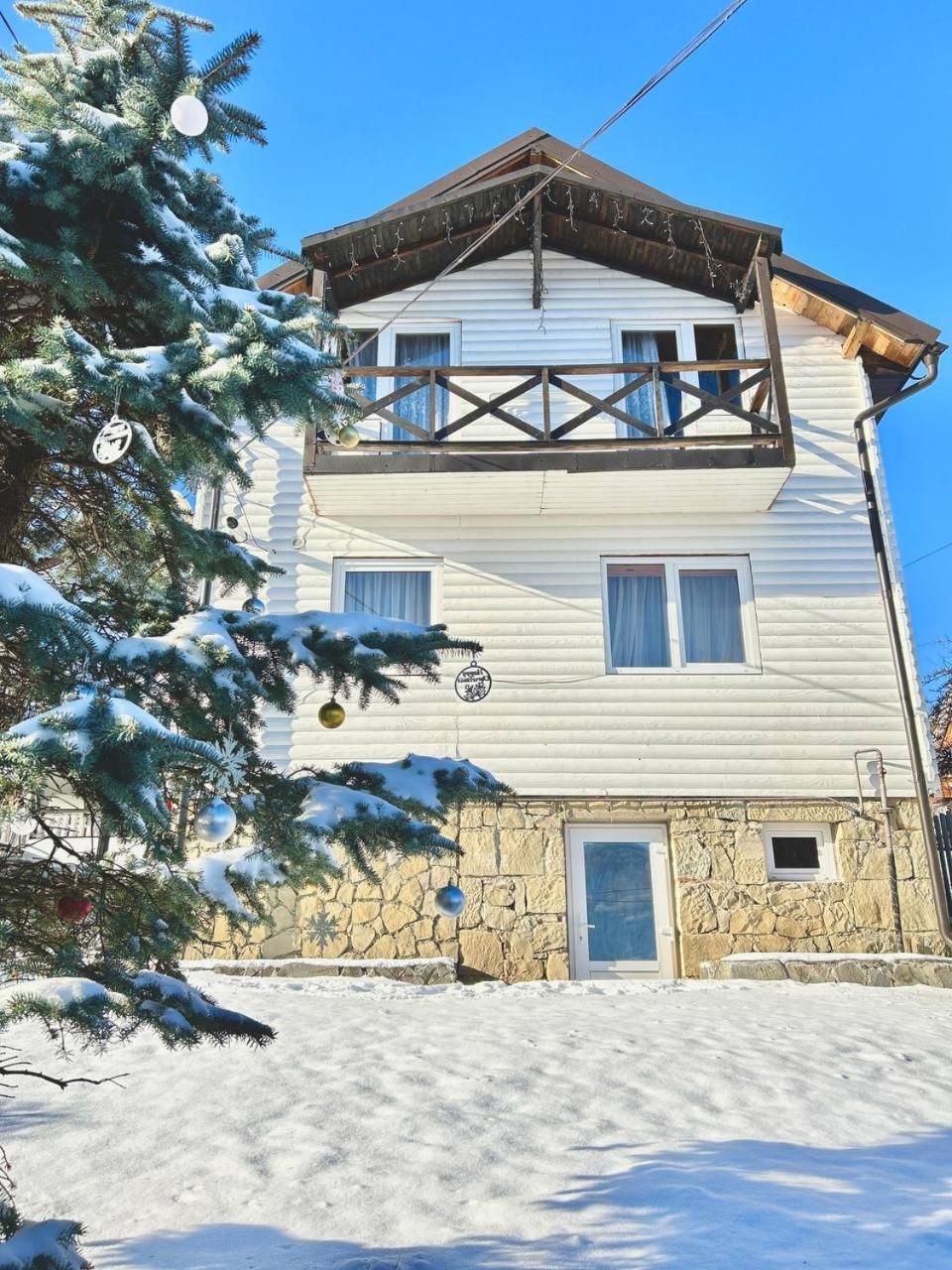 Carpathian Manor Villa Jaremtsje Buitenkant foto